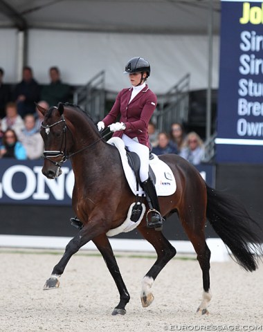 Emmelie Scholtens on Johnny Be Goode, who is out of the Friesian cross bred mare Amazing Grace (by Tieste x Farrington) that competed at national Grand Prix level in Holland