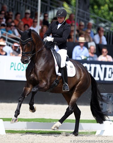 Ann-Christin Wienkamp on the Danish bred Lindballe's Just Perfect. The horse has changed dramatically over the past year and become much more athletic. There was a great rhythm in the trot work and a very good walk, in canter he gets croup high, but is very obedient throughout