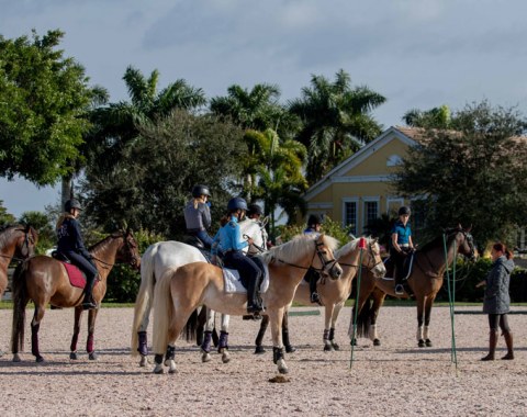 Working equitation was this year's highlight of the 2020 USPRE Week