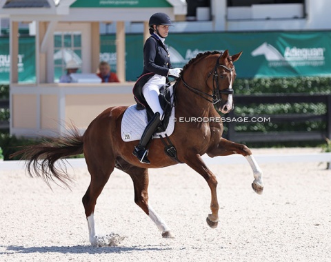 Ashley Holzer with Liberty L (by Toto x Charmeur)