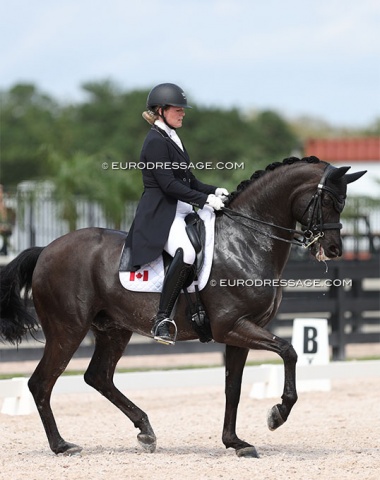 Winner of the Grand Prix class: Canadian Lindsay Kellock on Tu Le Merite (by Totilas x Sarkozy), who sold at the 2018 Horses & Dreams auction to Brazilian Tania Loeb Wald before selling to Lisa Apa in 2019.