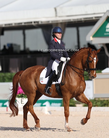 Probably not the most flashy Grand Prix horse, but certainly the one with the best bridle contact: Lori Bell's Flirt