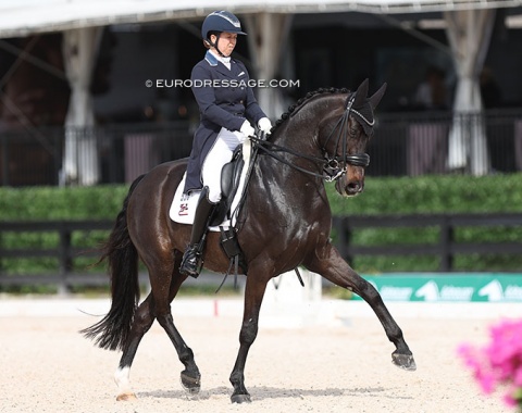 After the 2022 World Championships, U.S. team rider Katie Duerhammer never returned with Herning ride Quartett.  With her second GP horse Paxton she was 7th. The Dante Weltino x Don Marco struggled in the piaffe, but had nice half passes