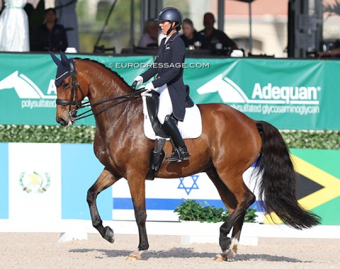 Rio Olympian Kasey Perry making her CDI debut on Heartbeat WP (by Charmeur x Ferro). He ran a bit through the contact today. They need more time to fine tune, but there is a lot of potential