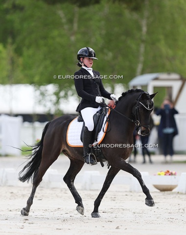 Nika Verbeek on the 17-year old Brasil (by Sandokan's Leonardo x Orchard d'Avranches), formerly competed for The Netherlands and Great Britain