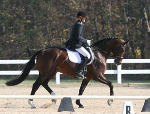 The winner of the testing: KWPN stallion Wamberto (by Rousseau x Voltaire) - owned by Harmony Sporthorses, Kiowa, CO