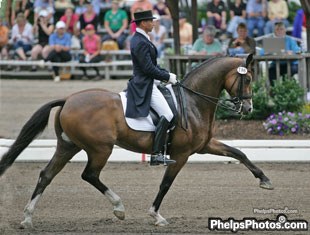 Steffen Peters and Lombardi at the 2007 U.S. Dressage Championships in Gladstone, NJ :: Photo © Mary Phelps