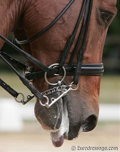 Tongue problems also arise at youth riders' level