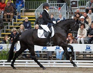 Stella Piccolina as a 3-year old at the 2009 Bundeschampionate