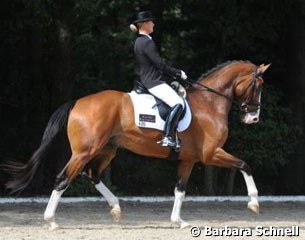 Danish Kristine Moller on the Classical Sales Warendorf auction horse Freak Blue Phantom. They missed the finals twice despite scoring 8.0 and 8.2 -- but the future is theirs