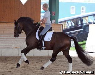 Brigitte Wittig & Baron de Ley. Husband and breeder Wolfram says he is "the most beautiful horse I ever bred." Baron de Ley is British owned.