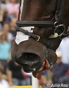 Blood in the horse's mouth at the 2011 CCI Aachen :: Photo © Julia Rau