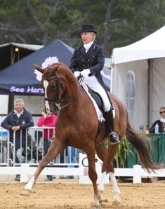 Mette Rosencrantz and Finally competing at the 2011 CDI Pebble Beach