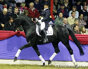Australian Tanya Seymour on Dr. Doolittle (by Donnerhall x Lauries Crusador xx). The black appeared a bit ponyesque but he did sire on the best stallions competing in the 2011 Oldenburg Stallion Licensing