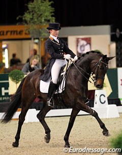 Belgian Saidja Brison on the 10-year old Moliere (by De Niro x Amiral)