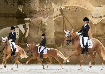 Eurodressage collage made for Anastasia Huet and Day of Diva :: Photos © Astrid Appels
