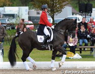 Warming up Valegro, ready for another victory
