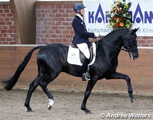 Ingrid Klimke on the youngster Spinoza (by Show Star)