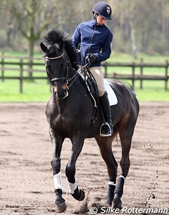 Monica Theodorescu schooling Tonic. Monica often looks at the hindquarters of her horses or to the side in a traversal movement