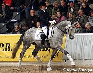 Stephanie Dearing on Del Magico at the Hanoverian Stallion Show in Verden on 4 February 2012 :: Photo © Maria Burczyk
