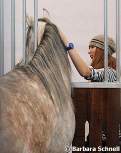 The miracle of meeting a horse