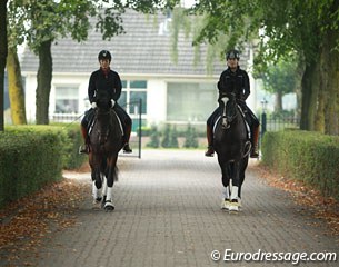 Young horses in training at Dressage Stable Van Baalen
