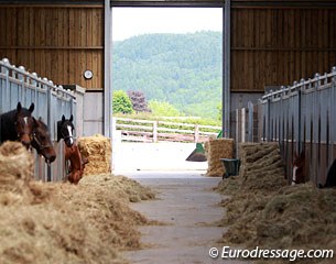 The recipient mare barn
