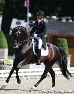 Marc Boblet on the Hanoverian licensing champion Soliman (by Sandro Hit x Donnerhall)