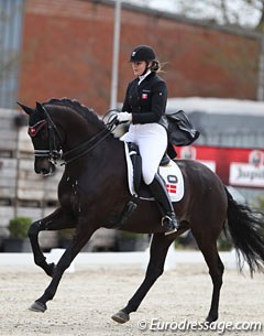 Camilla Andersen on her second ride, the talented Horgaard Stardust (by Stedinger). The black is a big mover but lacked flexion in the corners and on the voltes