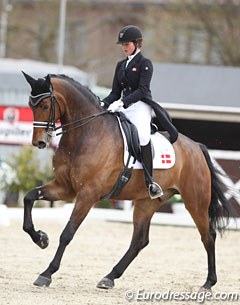 A reward for bravery and sportsmanship goes to Danish Ann Sofie Nilausen whose Elverhojs Sakharov gave its rider a very tough time, spooking all over the arena. Ann Sofie persisted and finished the ride with dignity.