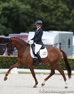 Last year's bronze medal winners, Kim van der Velden on Guadeloupe Beau (by Bordeaux x Vivaldi). The mare has very nice self carriage & cadence in trot but in canter the flying changes were not established