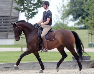 Dennis Fisker on Julianelyst's Falkendaune Macohl (by Furstenball x Schwadroneur) :: Photo © Ridehesten