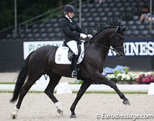 Don Martillo at the 2017 World Young Horse Championships :: Photo © Astrid Appels