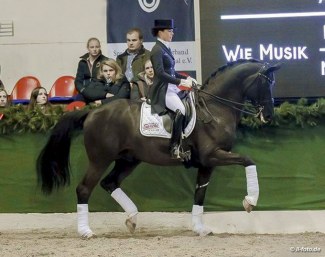 Sprehe and Desperados at the 2018 Sprehe Stallion Show in Vechta :: Photo © LL-foto
