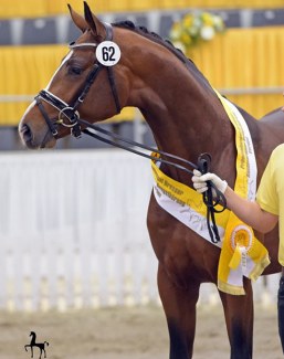 For Sure (by Finest x De Niro x Weltmeyer) :: Photo © Tanja Becker