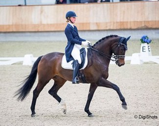 Kimberly Pap and Victory at the 2018 Dutch Indoor Championships :: Photo © Digishots
