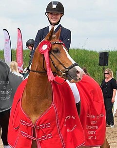 FEI Dressage Pony schoolmaster De Vito