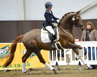 Integro (by Dimaggio x Negro x Gershwin)