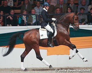 Connery at the Trakehner Stallion Licensing in 2012 :: Photo © Jutta Bauernschmitt