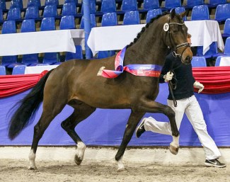 Zac Efron (by Blue Hors Zack x Don Larino) :: Photo © LL-foto
