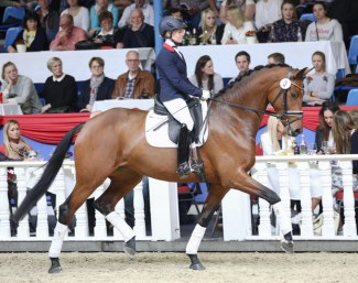 Karabella at the 2018 Oldenburg Spring Elite Auction :: Photo © LL-foto