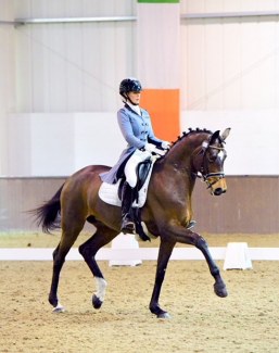 Royalty (by Samba Hit II x Royal Dance)