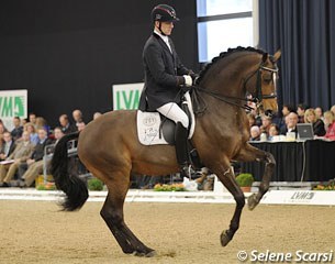 Peter Borggreve on the NRW State stud owned stallion Laureus at the 2013 CDN Munster :: Photo © Selene Scarsi