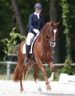 Mara de Vries and Habibi at the 2017 CDIO Compiegne :: Photo © Astrid Appels