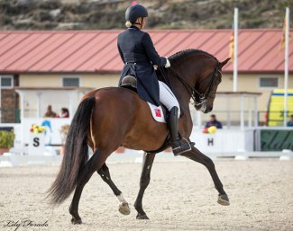 Annabelle Collins and Joyero VG at the 2018 CDI Segovia :: Photo © Lily Forado