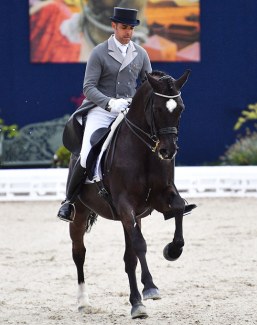 Le Docteur at the 2018 CDI Hagen - Horses and Dreams