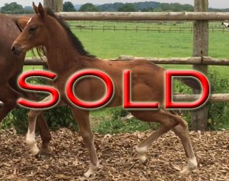 SOLD in 2 weeks time !!