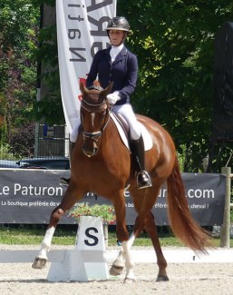 Camille Judet Cheret on Dancing Highness (by Dancier x His Highness) :: Photo © Pole Hippique Lorraine