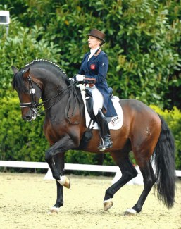 Internationally competed Grand Prix horse Mango Jacaro