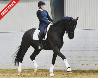 Soulmate (by Sir Donnerhall x Cordoba)